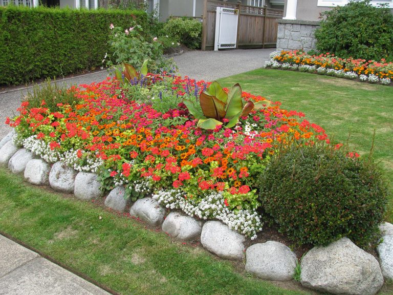 front garden with an assortment of colour flowers