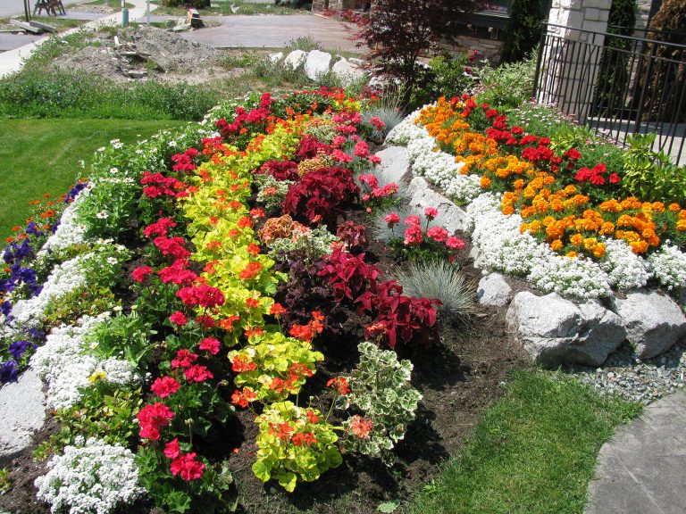 beautifully maintained front garden