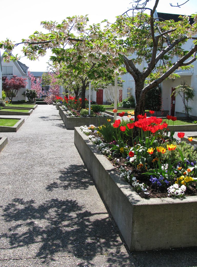 box flower gardens
